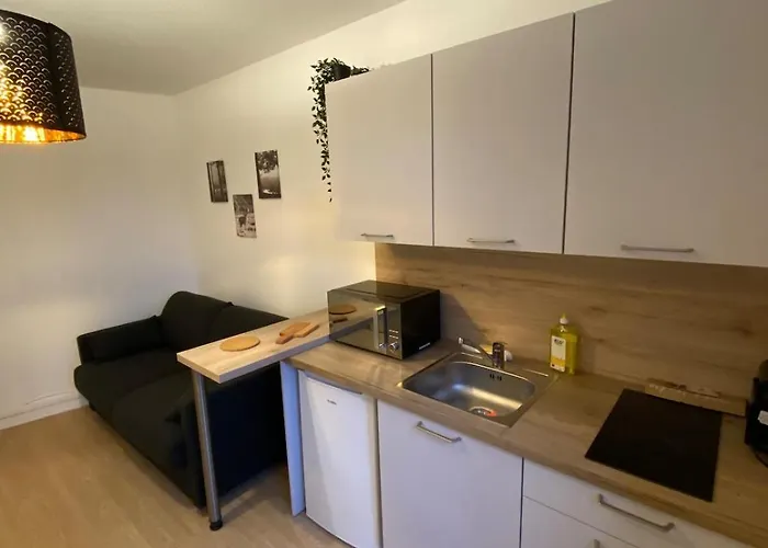 New Downtown Salins Appartement